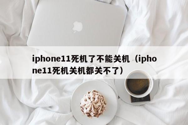 iphone11死机了不能关机（iphone11死机关机都关不了）