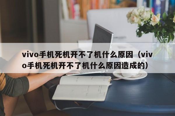 vivo手机死机开不了机什么原因（vivo手机死机开不了机什么原因造成的）