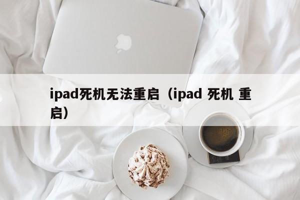 ipad死机无法重启（ipad 死机 重启）