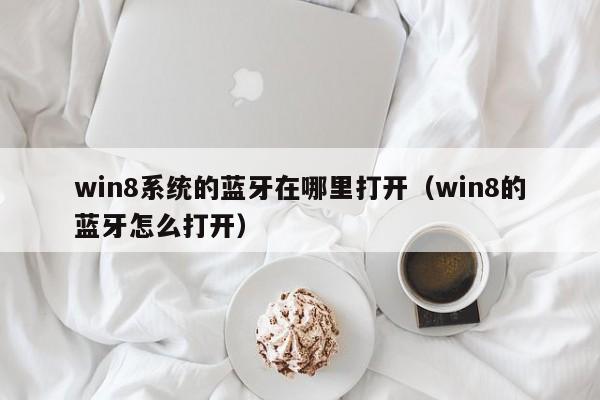 win8系统的蓝牙在哪里打开（win8的蓝牙怎么打开）