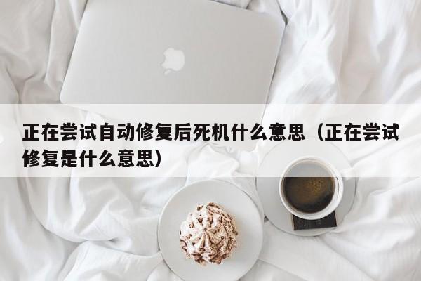 正在尝试自动修复后死机什么意思（正在尝试修复是什么意思）