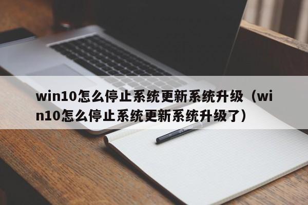 win10怎么停止系统更新系统升级（win10怎么停止系统更新系统升级了）