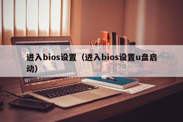 进入bios设置（进入bios设置u盘启动）