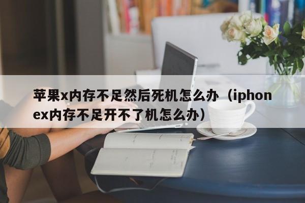 苹果x内存不足然后死机怎么办（iphonex内存不足开不了机怎么办）