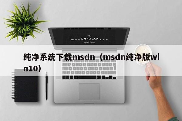 纯净系统下载msdn（msdn纯净版win10）