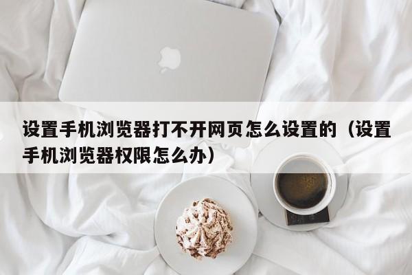 设置手机浏览器打不开网页怎么设置的（设置手机浏览器权限怎么办）