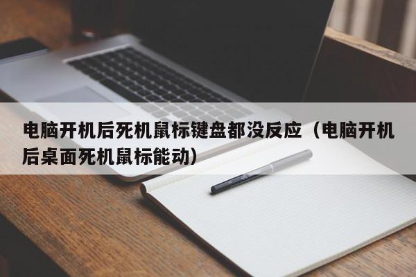 电脑开机后死机鼠标键盘都没反应（电脑开机后桌面死机鼠标能动）