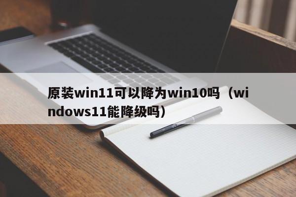 原装win11可以降为win10吗（windows11能降级吗）