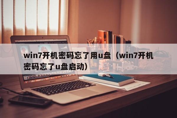 win7开机密码忘了用u盘（win7开机密码忘了u盘启动）