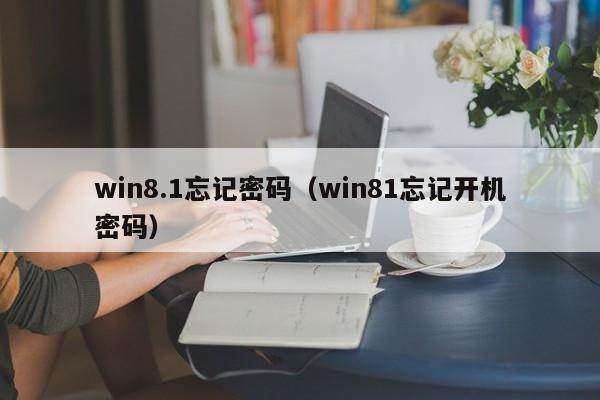 win8.1忘记密码（win81忘记开机密码）