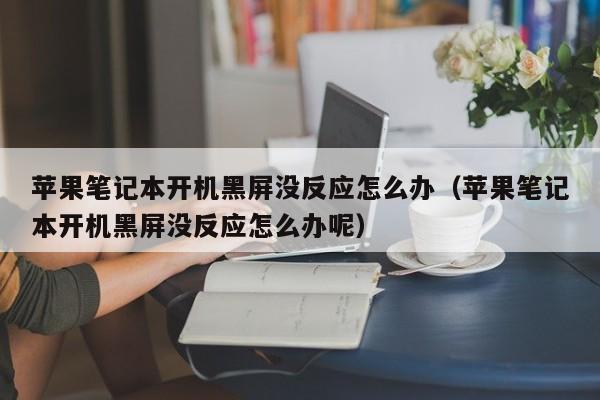 苹果笔记本开机黑屏没反应怎么办（苹果笔记本开机黑屏没反应怎么办呢）