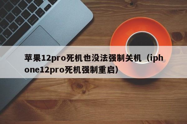 苹果12pro死机也没法强制关机（iphone12pro死机强制重启）