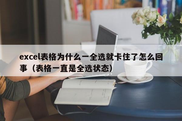 excel表格为什么一全选就卡住了怎么回事（表格一直是全选状态）