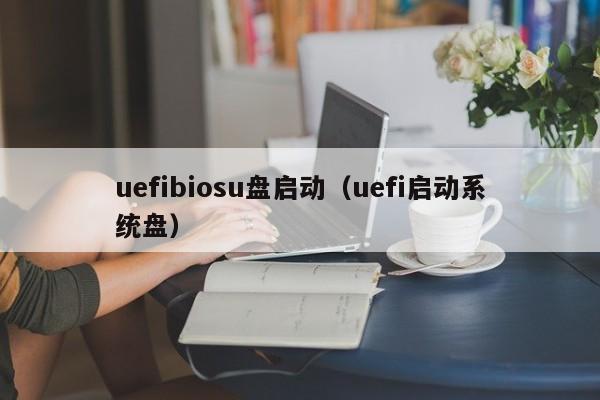 uefibiosu盘启动（uefi启动系统盘）