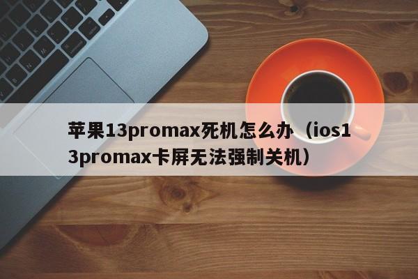 苹果13promax死机怎么办（ios13promax卡屏无法强制关机）