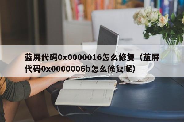 蓝屏代码0x0000016怎么修复（蓝屏代码0x0000006b怎么修复呢）