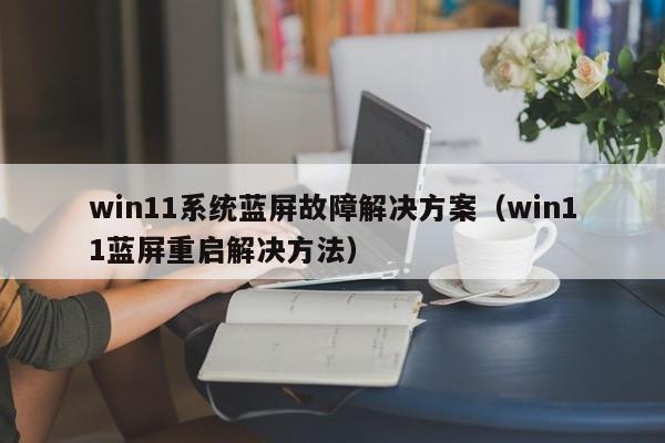 win11系统蓝屏故障解决方案（win11蓝屏重启解决方法）