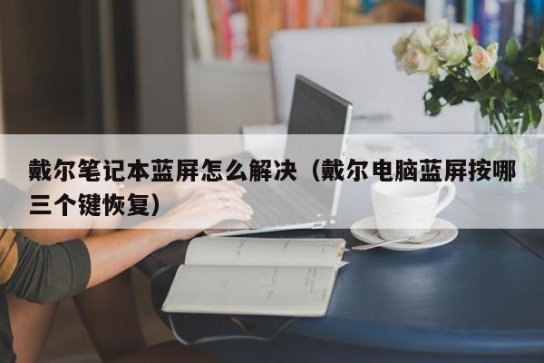 戴尔笔记本蓝屏怎么解决（戴尔电脑蓝屏按哪三个键恢复）