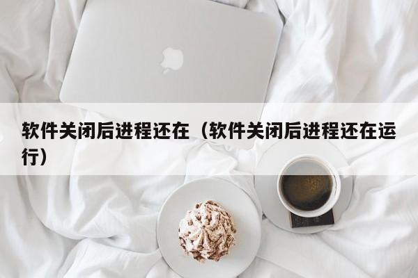 软件关闭后进程还在（软件关闭后进程还在运行）