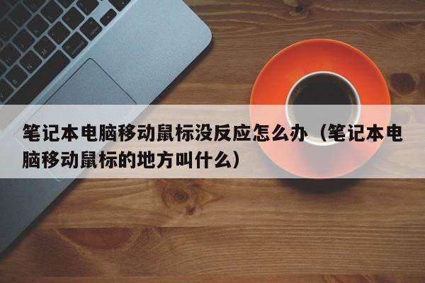 笔记本电脑移动鼠标没反应怎么办（笔记本电脑移动鼠标的地方叫什么）