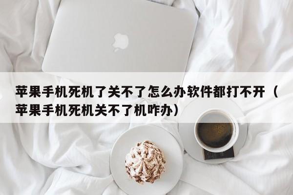 苹果手机死机了关不了怎么办软件都打不开（苹果手机死机关不了机咋办）