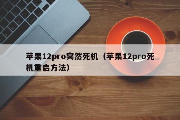 苹果12pro突然死机（苹果12pro死机重启方法）