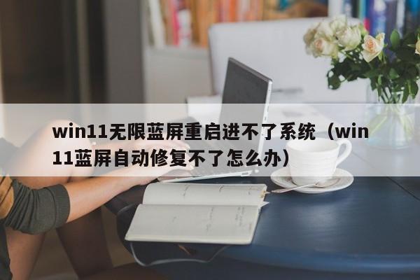 win11无限蓝屏重启进不了系统（win11蓝屏自动修复不了怎么办）