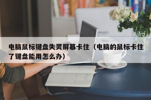 电脑鼠标键盘失灵屏幕卡住（电脑的鼠标卡住了键盘能用怎么办）