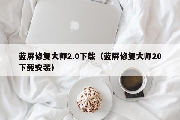 蓝屏修复大师2.0下载（蓝屏修复大师20下载安装）