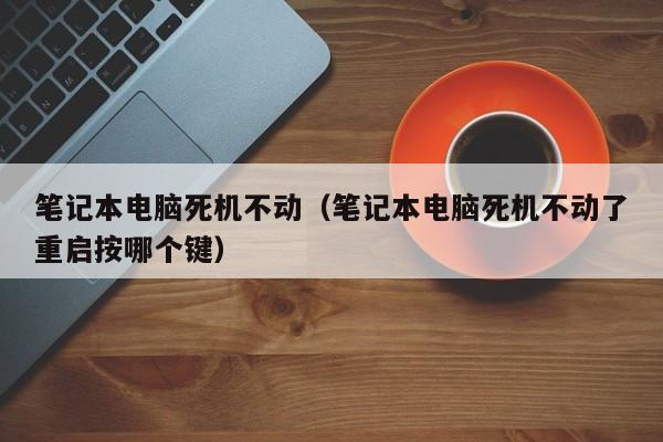 笔记本电脑死机不动（笔记本电脑死机不动了重启按哪个键）