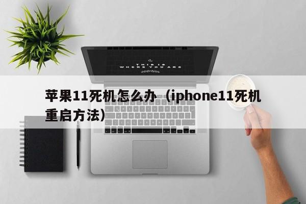 苹果11死机怎么办（iphone11死机重启方法）