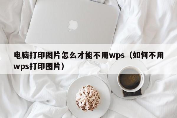 电脑打印图片怎么才能不用wps（如何不用wps打印图片）