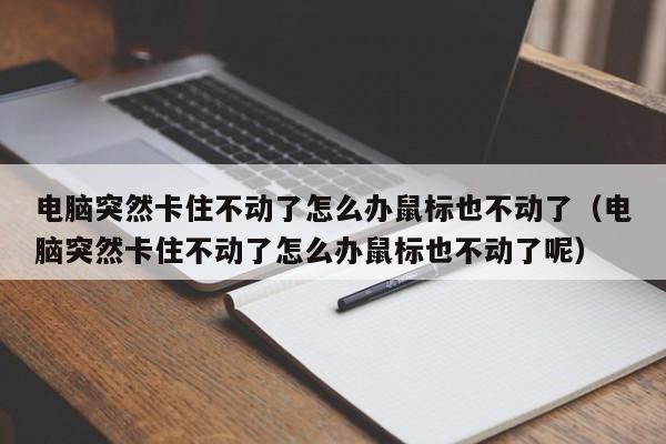 电脑突然卡住不动了怎么办鼠标也不动了（电脑突然卡住不动了怎么办鼠标也不动了呢）