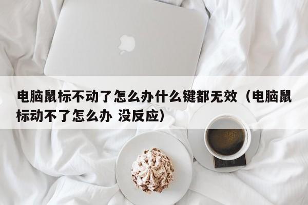 电脑鼠标不动了怎么办什么键都无效（电脑鼠标动不了怎么办 没反应）