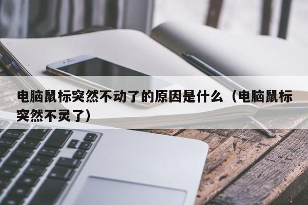 电脑鼠标突然不动了的原因是什么（电脑鼠标突然不灵了）