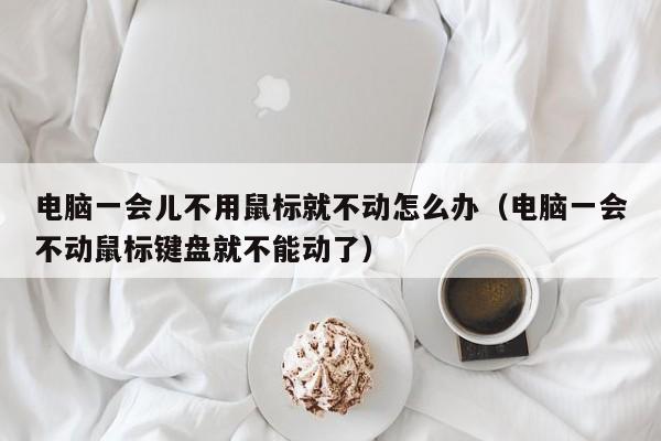 电脑一会儿不用鼠标就不动怎么办（电脑一会不动鼠标键盘就不能动了）