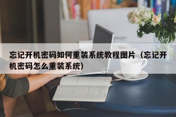 忘记开机密码如何重装系统教程图片（忘记开机密码怎么重装系统）