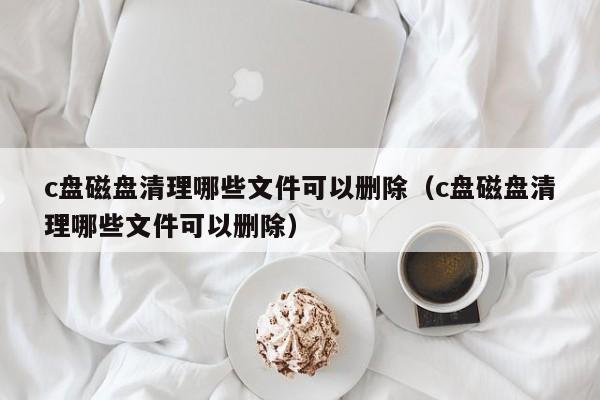 c盘磁盘清理哪些文件可以删除（c盘磁盘清理哪些文件可以删除）