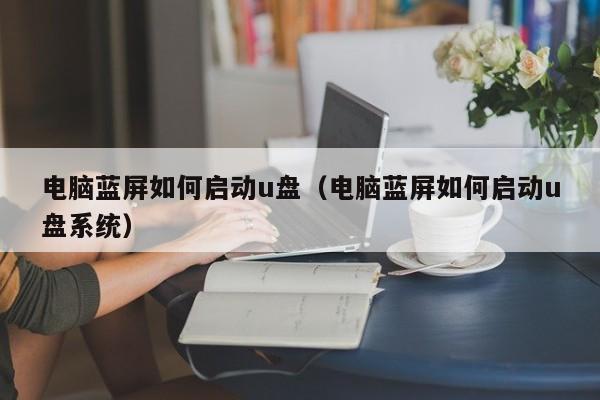 电脑蓝屏如何启动u盘（电脑蓝屏如何启动u盘系统）