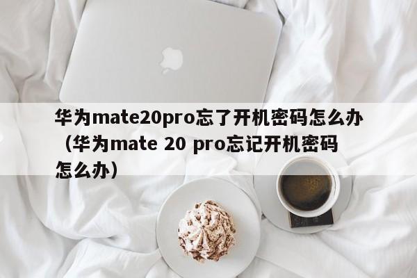 华为mate20pro忘了开机密码怎么办（华为mate 20 pro忘记开机密码怎么办）