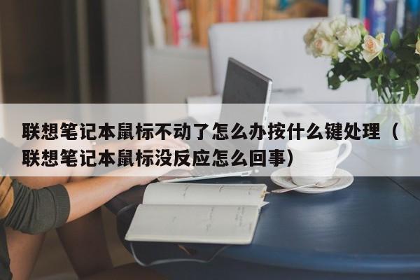 联想笔记本鼠标不动了怎么办按什么键处理（联想笔记本鼠标没反应怎么回事）