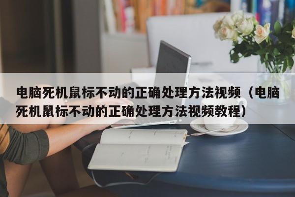 电脑死机鼠标不动的正确处理方法视频（电脑死机鼠标不动的正确处理方法视频教程）