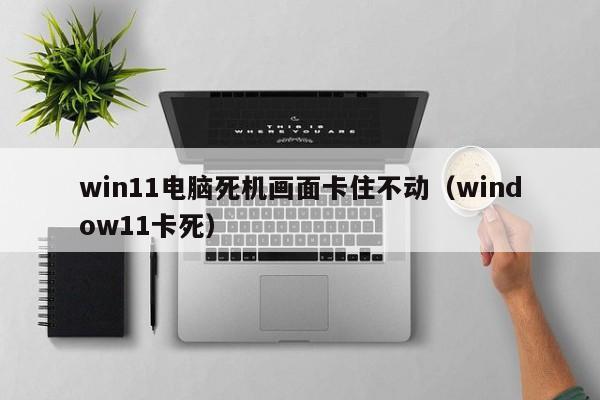 win11电脑死机画面卡住不动（window11卡死）