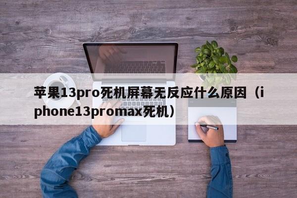 苹果13pro死机屏幕无反应什么原因（iphone13promax死机）