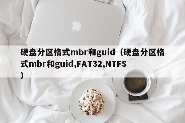 硬盘分区格式mbr和guid（硬盘分区格式mbr和guid,FAT32,NTFS）