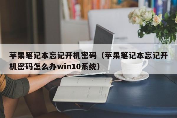 苹果笔记本忘记开机密码（苹果笔记本忘记开机密码怎么办win10系统）