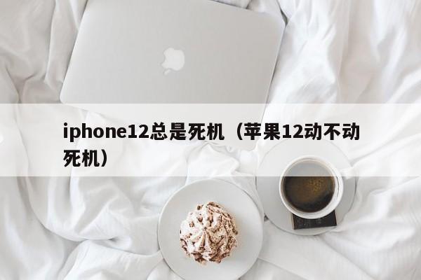 iphone12总是死机（苹果12动不动死机）