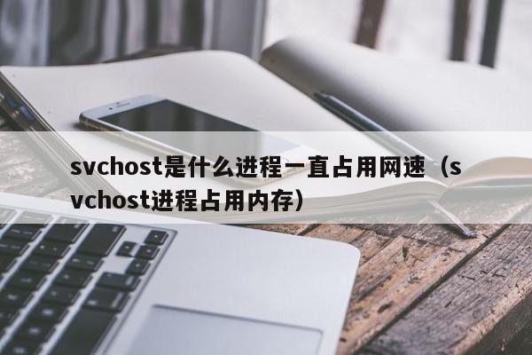 svchost是什么进程一直占用网速（svchost进程占用内存）