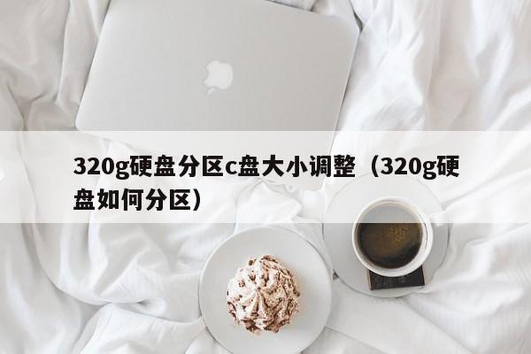 320g硬盘分区c盘大小调整（320g硬盘如何分区）