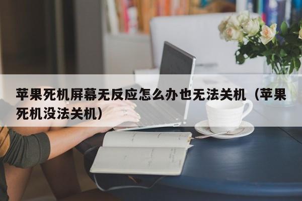 苹果死机屏幕无反应怎么办也无法关机（苹果死机没法关机）